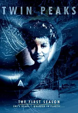 双峰 第一季第08集(大结局)