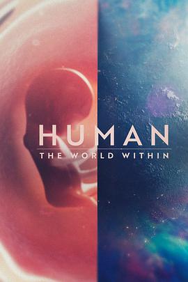 人类：体内的世界第04集