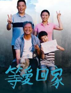 等爱回家(全集)