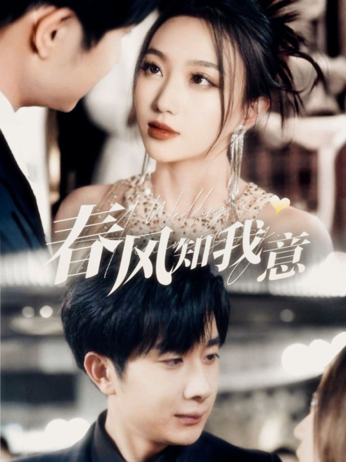 春风知我意第21-40集