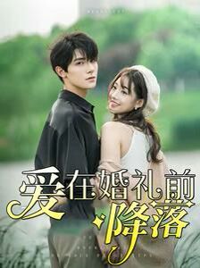 爱在婚礼前降落第21-50集完结(大结局)