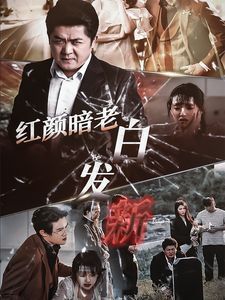 红颜暗老白发新第1-20集