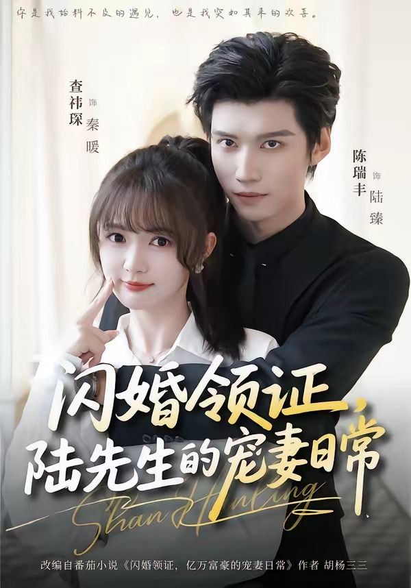 闪婚领证，陆先生的宠妻日常(全集)